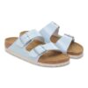 Arizona Birko-Flor Patent Arizona Birko-Flor Patent