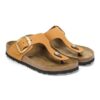Gizeh Big Buckle Nubuk Leather Gizeh Big Buckle Nubuk Leather