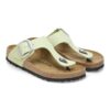 Gizeh Big Buckle Nubuk Leather Gizeh Big Buckle Nubuk Leather